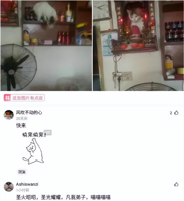 開超市起什么名字好？100個好聽到爆的超市名字！