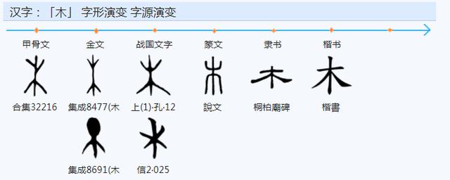 權(quán)字五行屬什么？權(quán)字五行屬什么和意義！
