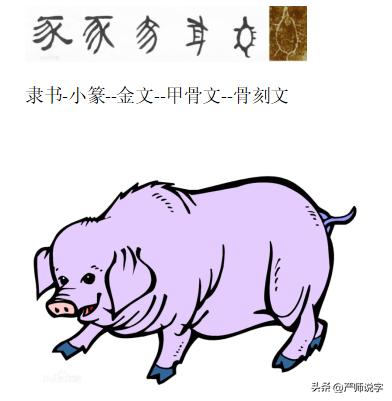 昔字五行屬什么？昔字五行屬什么屬性的名字！
