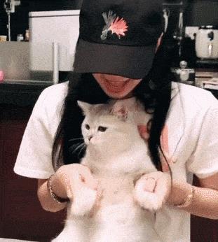 寵到底是什么意思，寵指的是什么