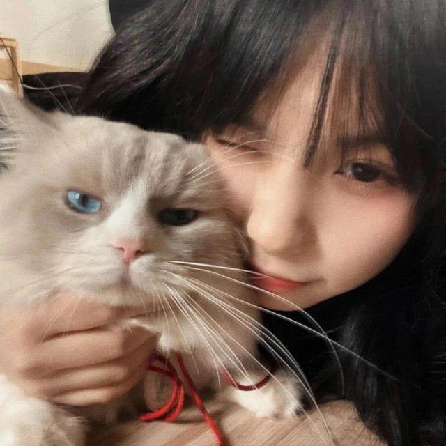 寵到底是什么意思，寵指的是什么