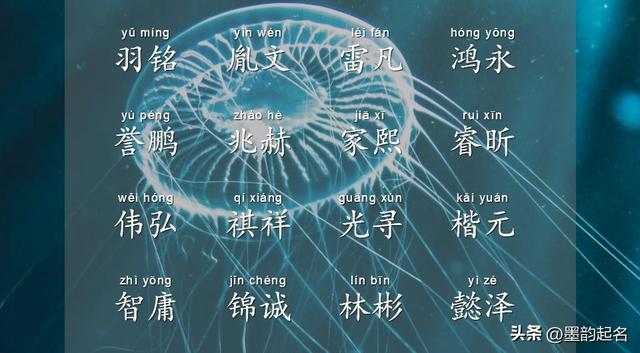 杭字取名的寓意男孩，杭字取名的寓意男孩子