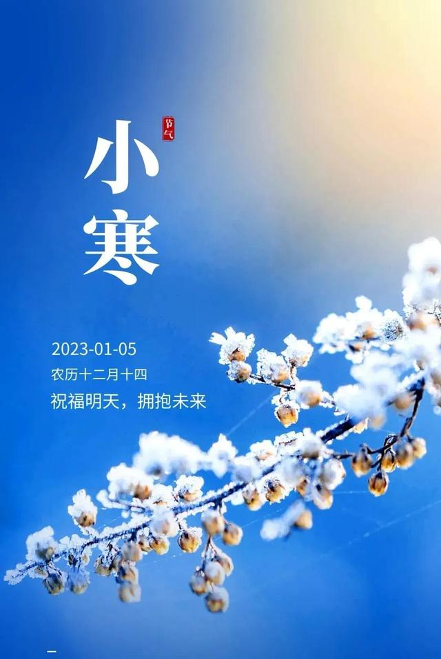 雛的意思？交姤是什么意思！