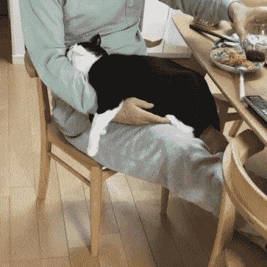 寵到底是什么意思，寵指的是什么