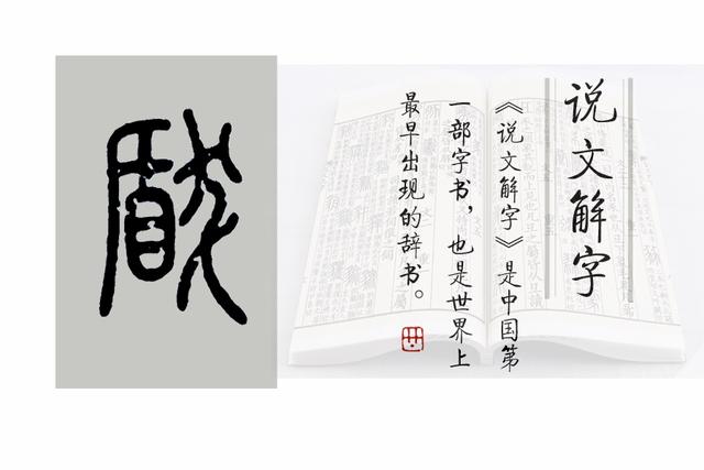 盾的意思？盾的意思解釋！