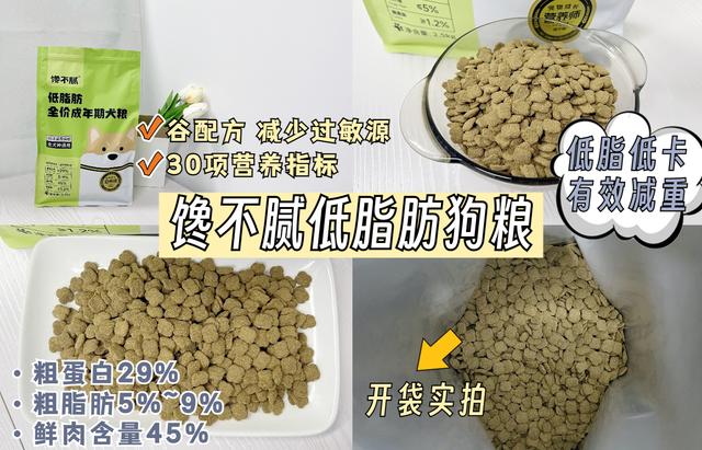 狗狗名字大全_洋氣招財男，狗狗名字大全_洋氣招財2O22年