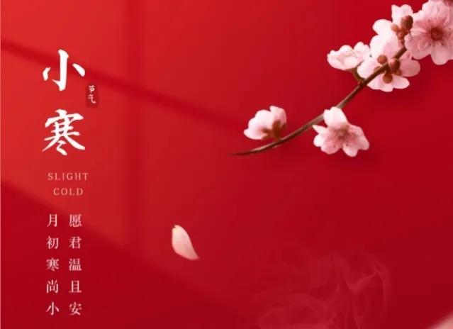 雛的意思？交姤是什么意思！