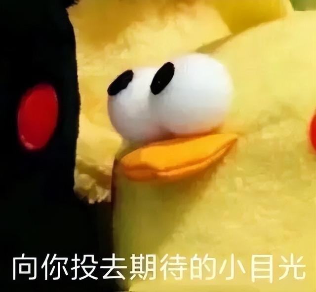 電腦取名字按生辰八字哪里有一，周易起名網(wǎng)唯一官網(wǎng)免費(fèi)