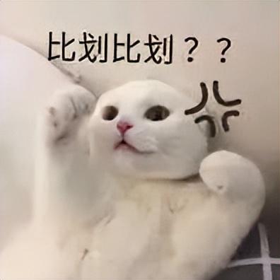 電腦取名字按生辰八字哪里有一，周易起名網(wǎng)唯一官網(wǎng)免費(fèi)