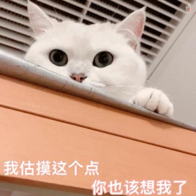 貓字的筆畫順序怎么寫，貓字的筆畫順序視頻