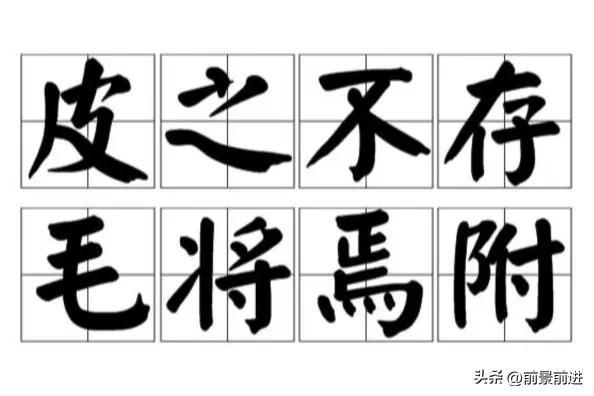 皮的成語？皮的成語大全四個字！