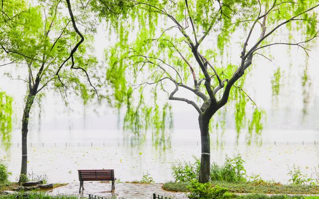易經(jīng)取名字大全免費(fèi)查詢，易經(jīng)取名字大全免費(fèi)查詢懂字五行屬性