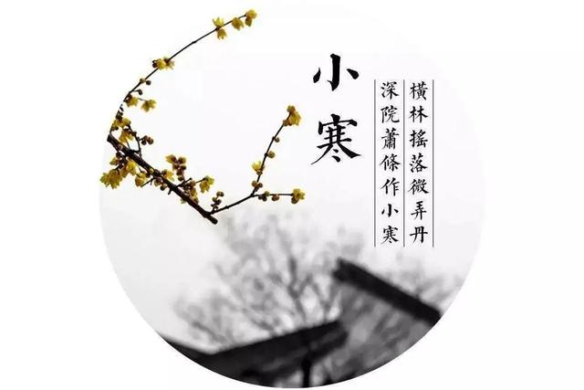 雛的意思？交姤是什么意思！