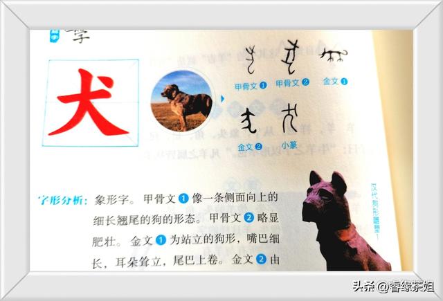 閔的意思和含義是什么，閔的意思和含義是什么意思