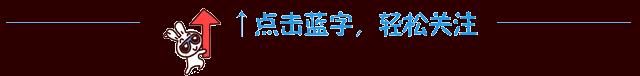 鵑字四字詞語，鵑_成語