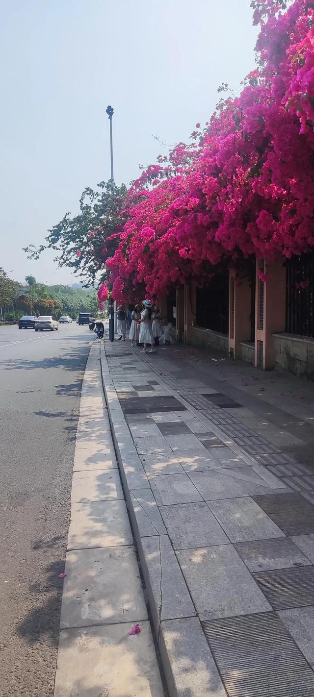 春五行屬什么以及含義，春五行屬啥