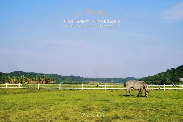 春五行屬什么以及含義，春五行屬啥