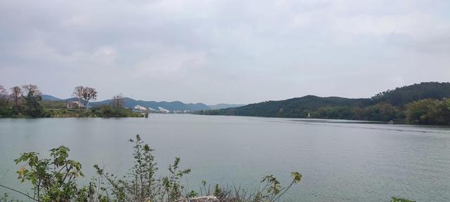 春五行屬什么以及含義，春五行屬啥