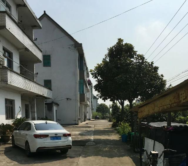 蓼汀花溆的意思，蓼汀花溆的意思是什么