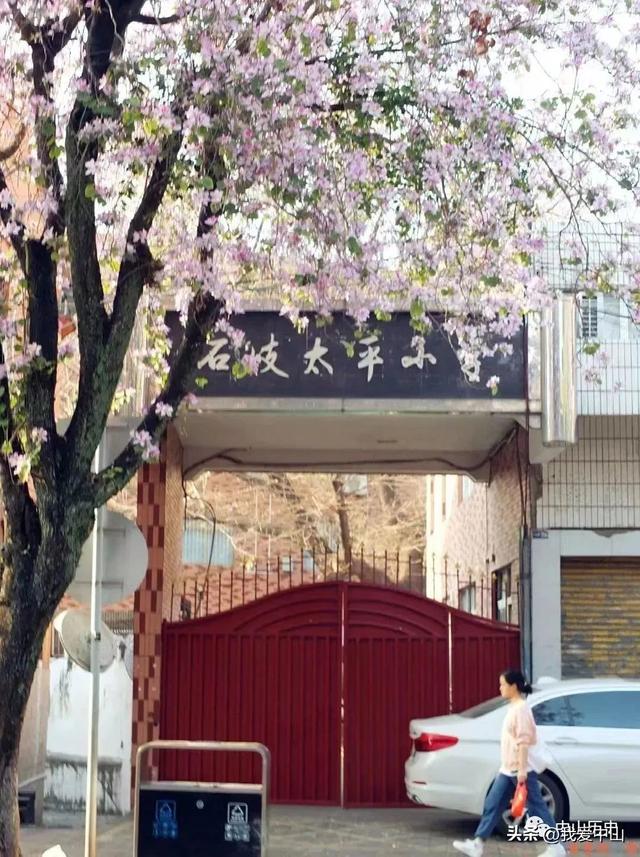 玩具店起名,玩具店起名字招財(cái)吉利小鋪？