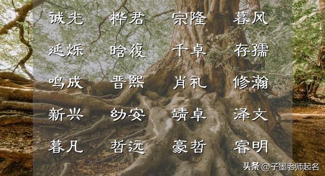 李姓男孩起名,李姓男孩起名字好寓意的字？