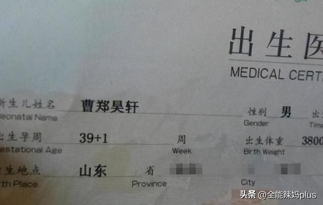 梓字取名的寓意,梓字取名的寓意男孩名字？