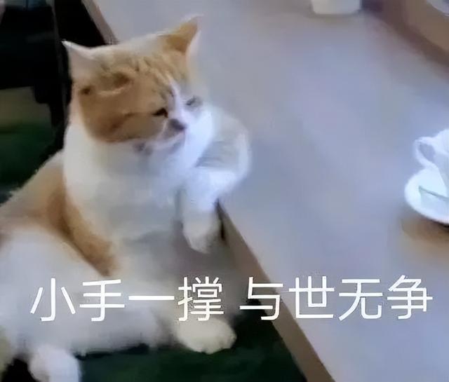 英文起名,英文起名網(wǎng)免費(fèi)取名男？