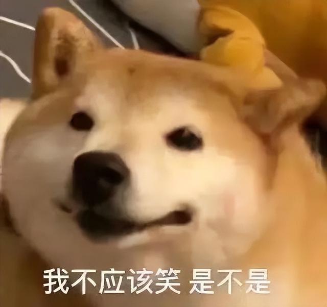 英文起名,英文起名網(wǎng)免費(fèi)取名男？