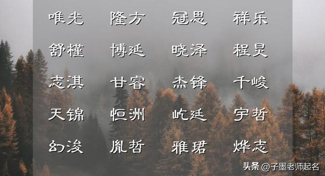 李姓男孩起名,李姓男孩起名字好寓意的字？