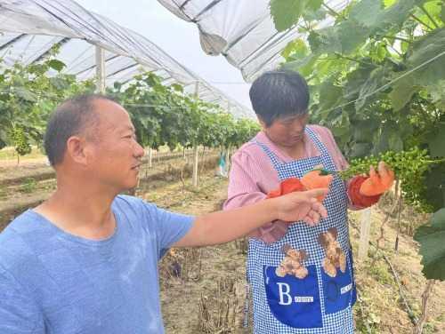 農(nóng)業(yè)合作社起名,農(nóng)業(yè)合作社起名大全集免費(fèi)？