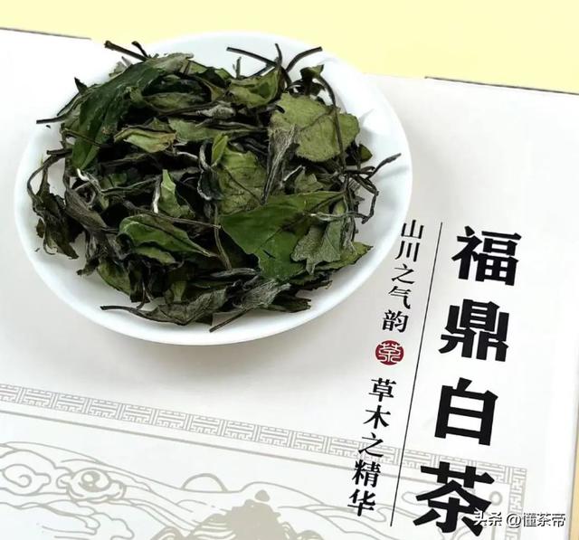 茶葉公司取名,茶葉未注冊(cè)過的好聽的商標(biāo)名？