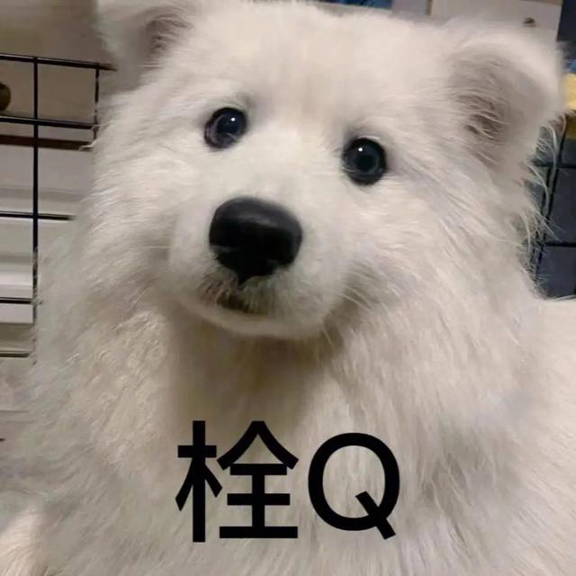 給狗起名字,給狗起名字好聽又吉利霸氣男？