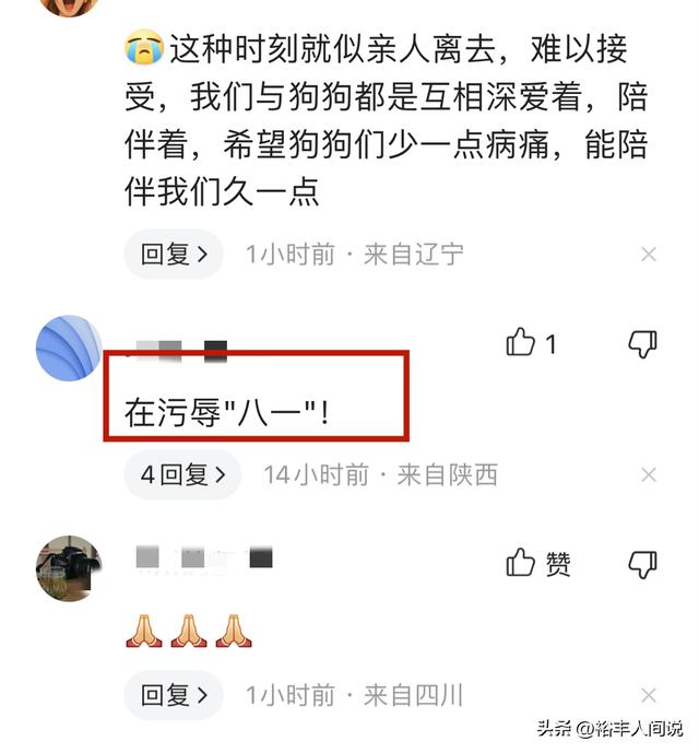 狗狗取名,狗狗取名招財(cái)又吉利的名字？