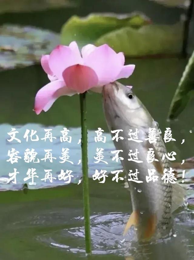 起名字大全男孩打分,男孩起名打分免費取名？