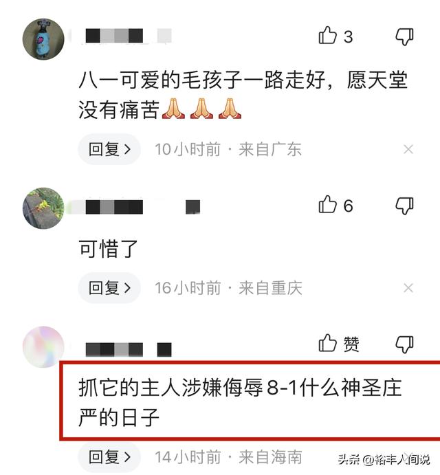 狗狗取名,狗狗取名招財(cái)又吉利的名字？
