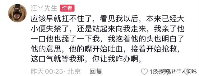 狗狗取名,狗狗取名招財(cái)又吉利的名字？