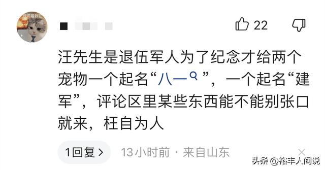 狗狗取名,狗狗取名招財(cái)又吉利的名字？