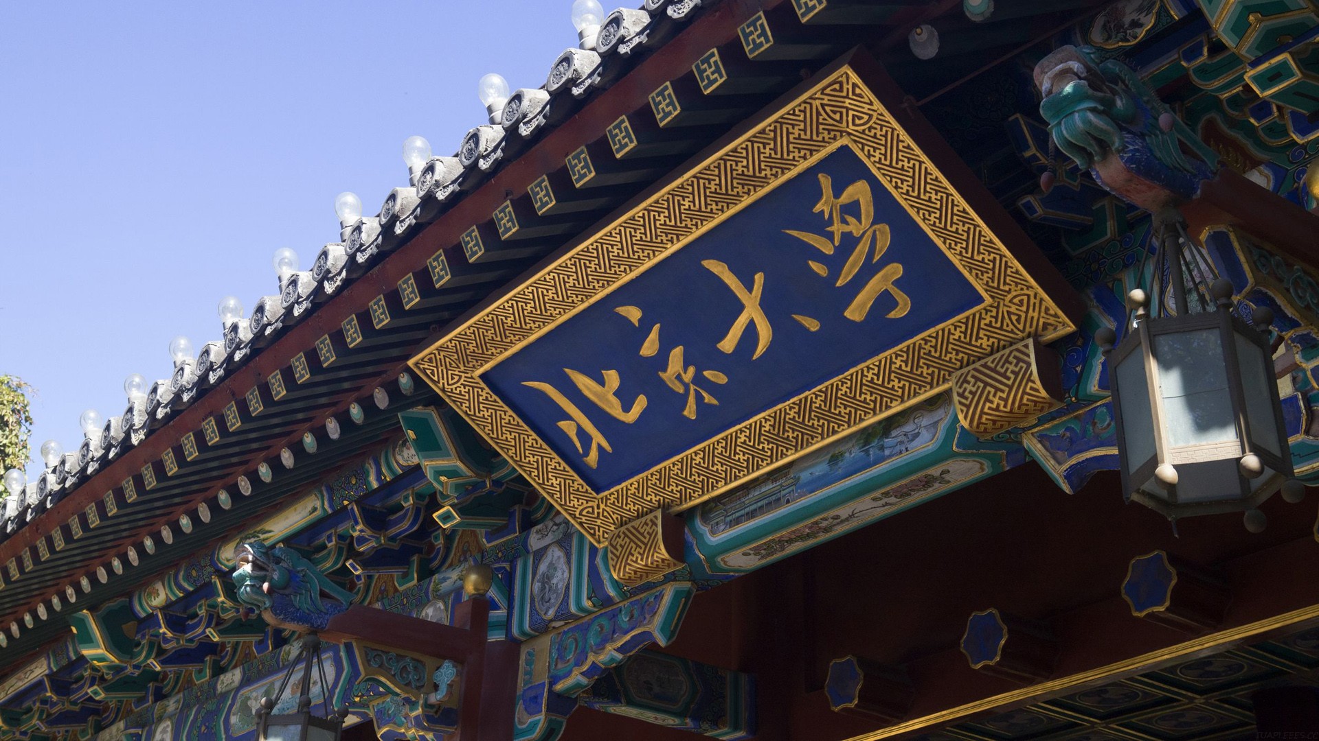 得字五行屬什么(得字五行屬什么寓意)